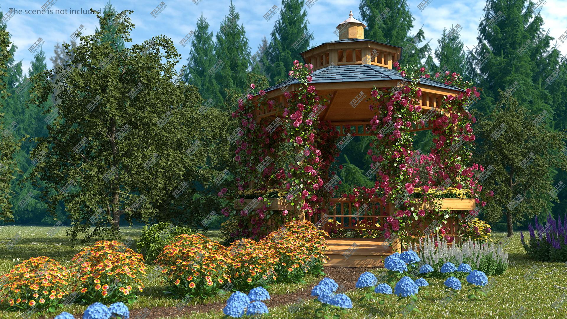 images/goods_img/2021040163/3D Gazebo Covered with Pink Rose model/5.jpg